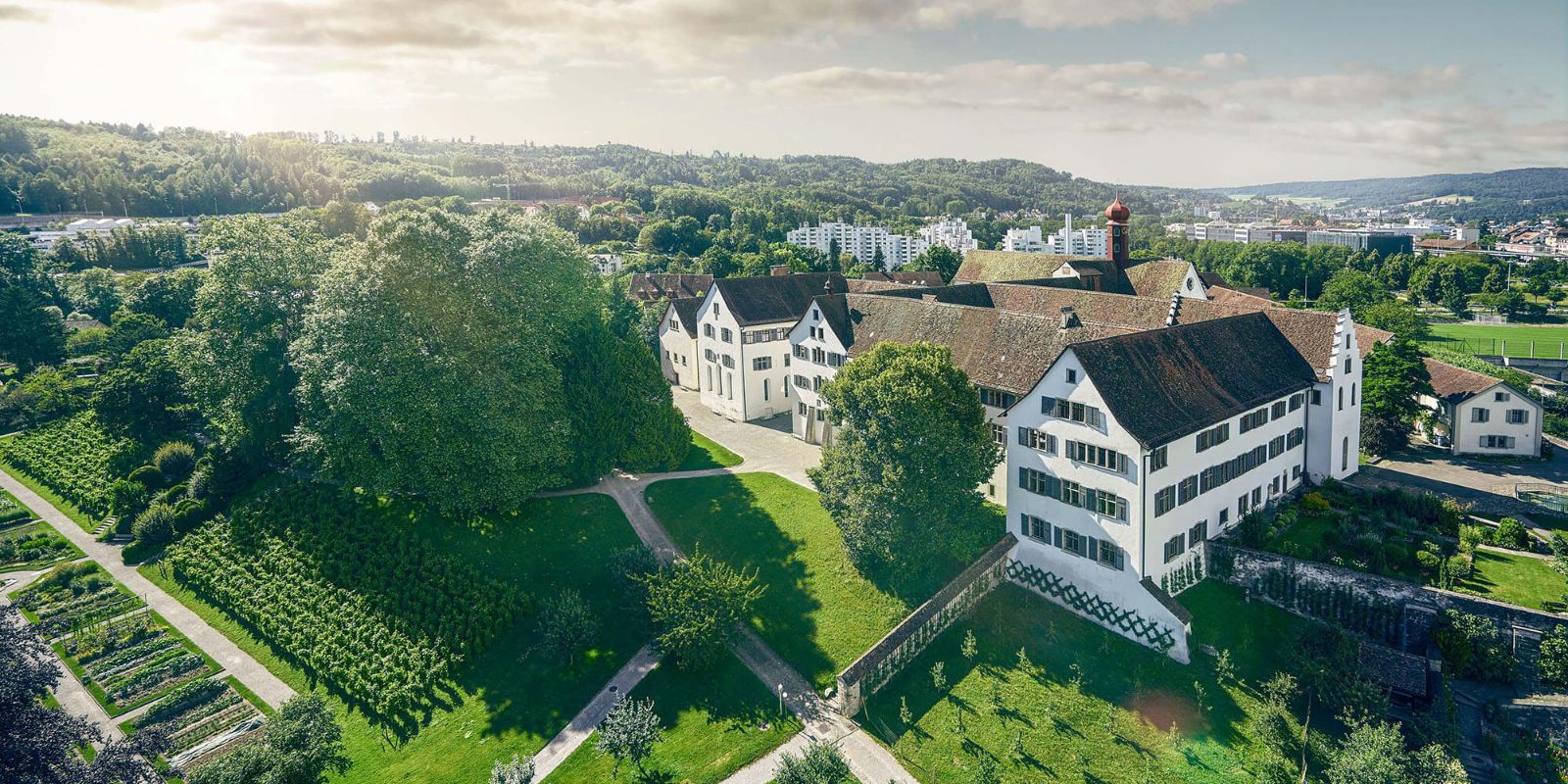 Header Image