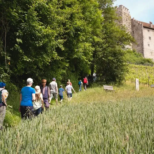 aussenansicht-schloss-habsburg-09.webp