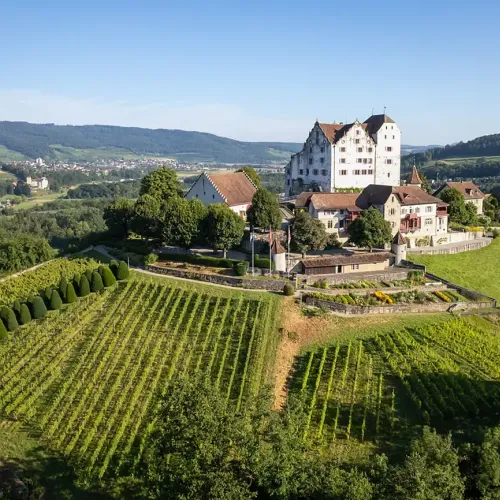 flugaufnahme-schloss-wildegg-01.webp