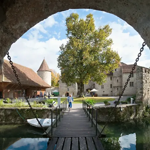 hof-schloss-hallwyl-01.webp