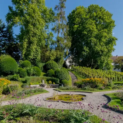 klosterpark-klosterhalbinsel-wettingen-04.webp