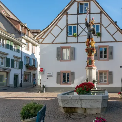 Rheinfelden_Tourismus_Rheinfelden_web.webp