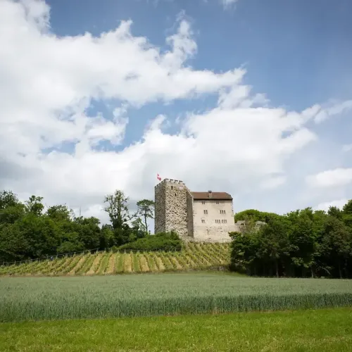 Schloss Habsburg 02_Foto_Museum Aargau