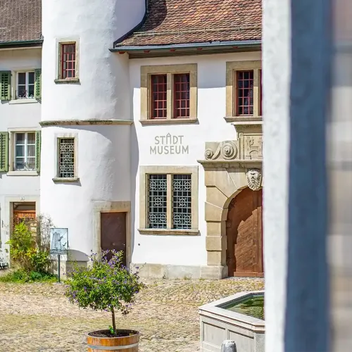 stlh-brugg-galerie_2.webp